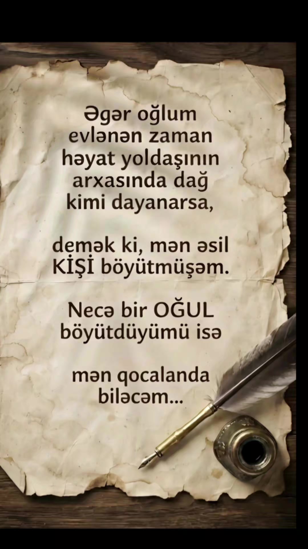 @Hayat⚘