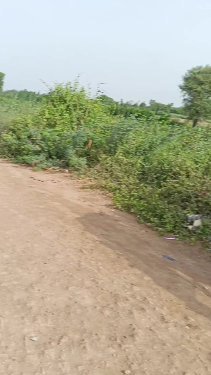 @Mukesh kumar kolhi