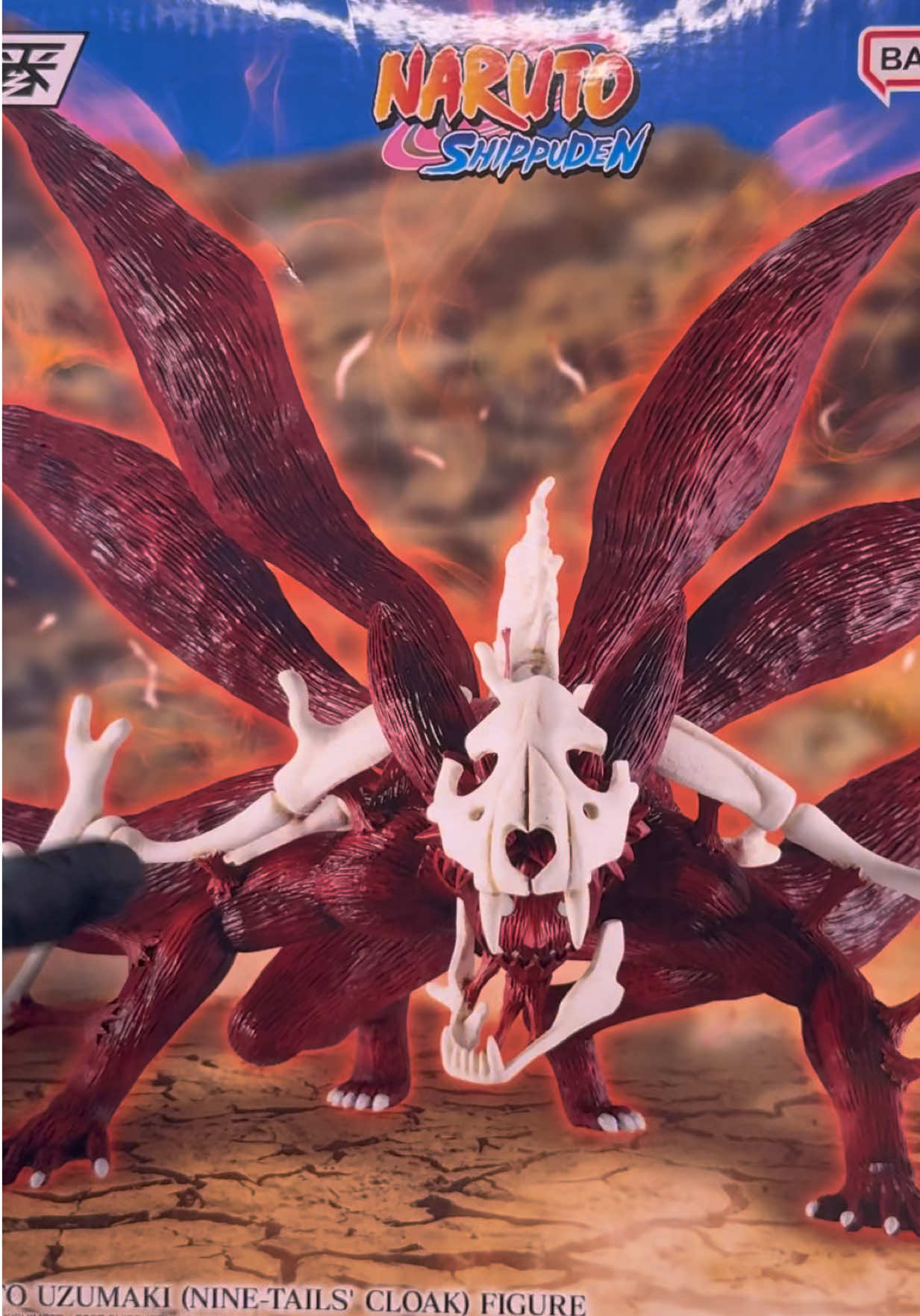 @Shinigami Collector