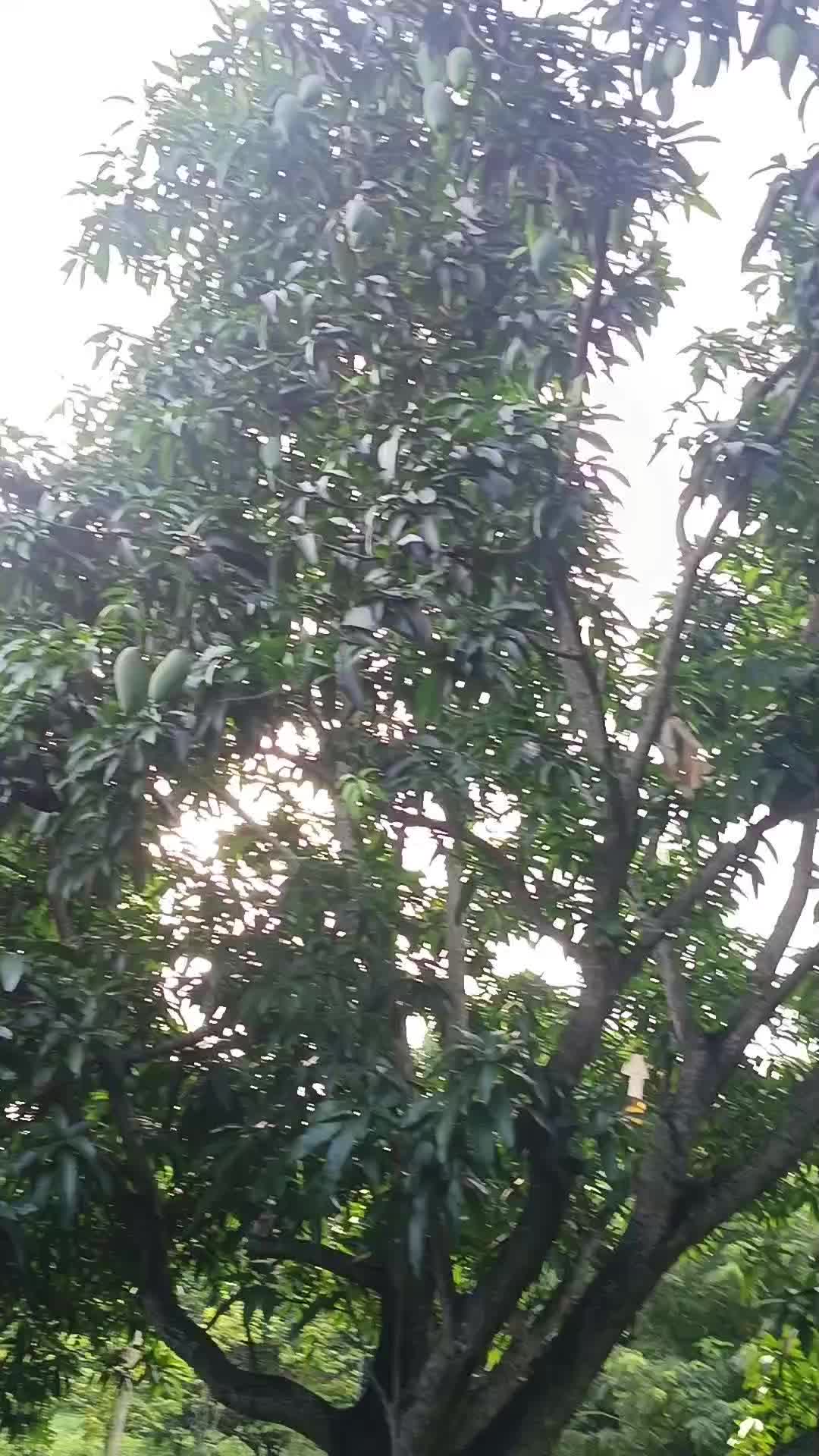 @LifeBegins