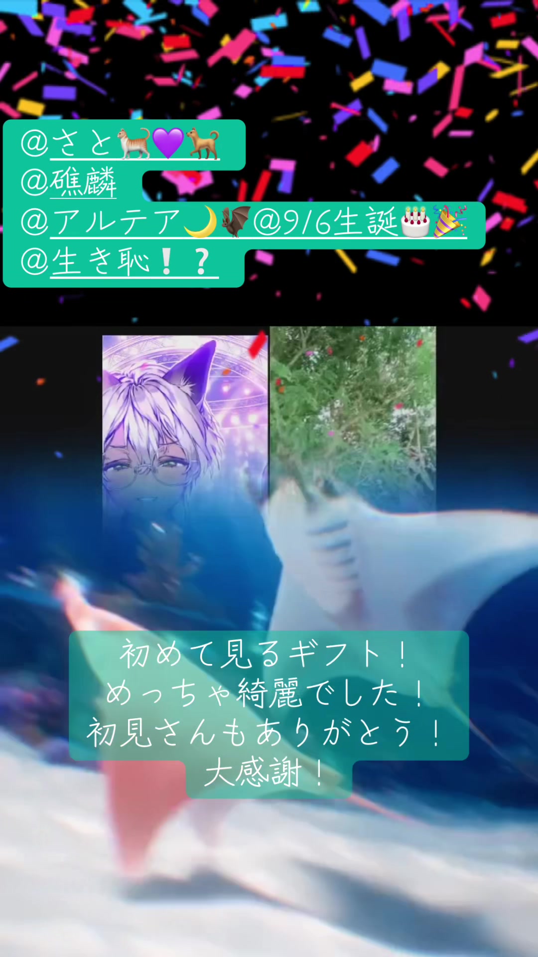 @ラキ・アムール🐈💜🐕