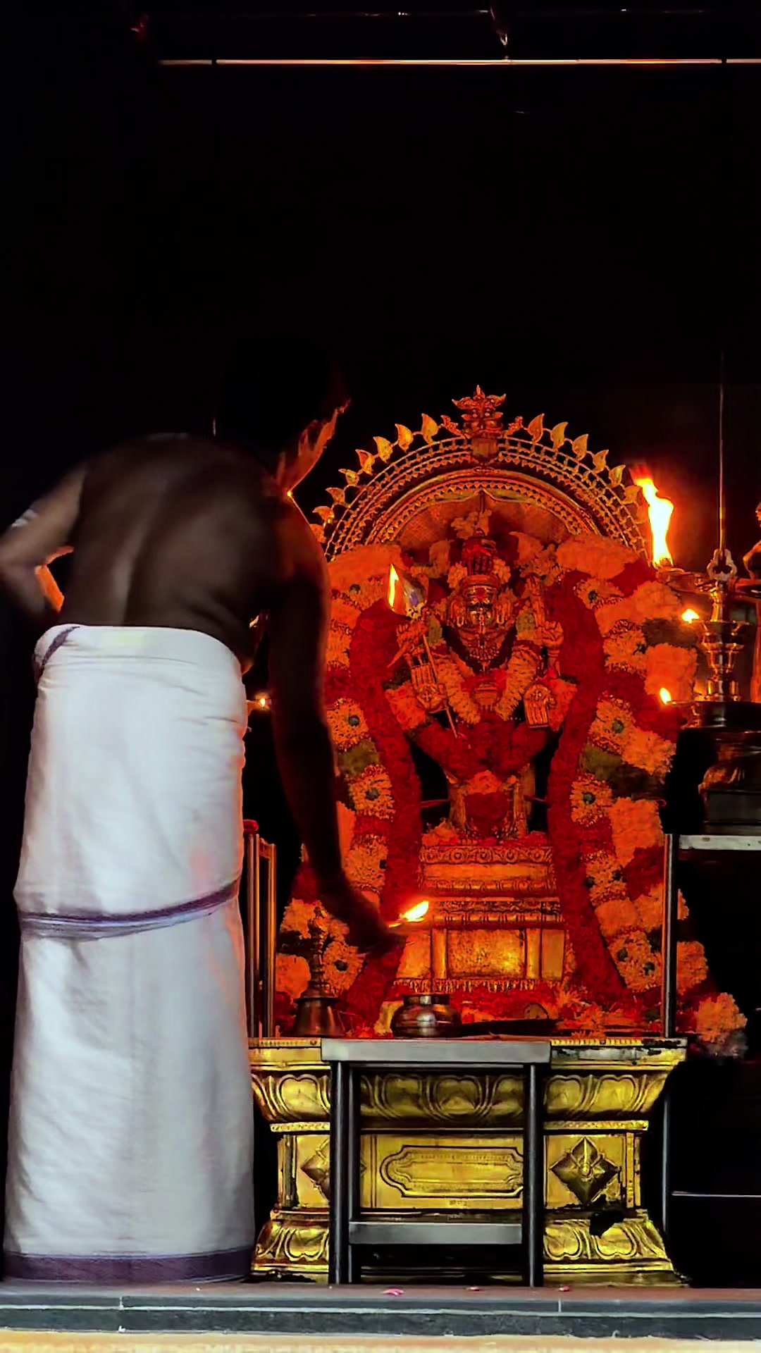 @⚜️🔱🕉️Vijay@விஜய்🕉️🔱⚜️