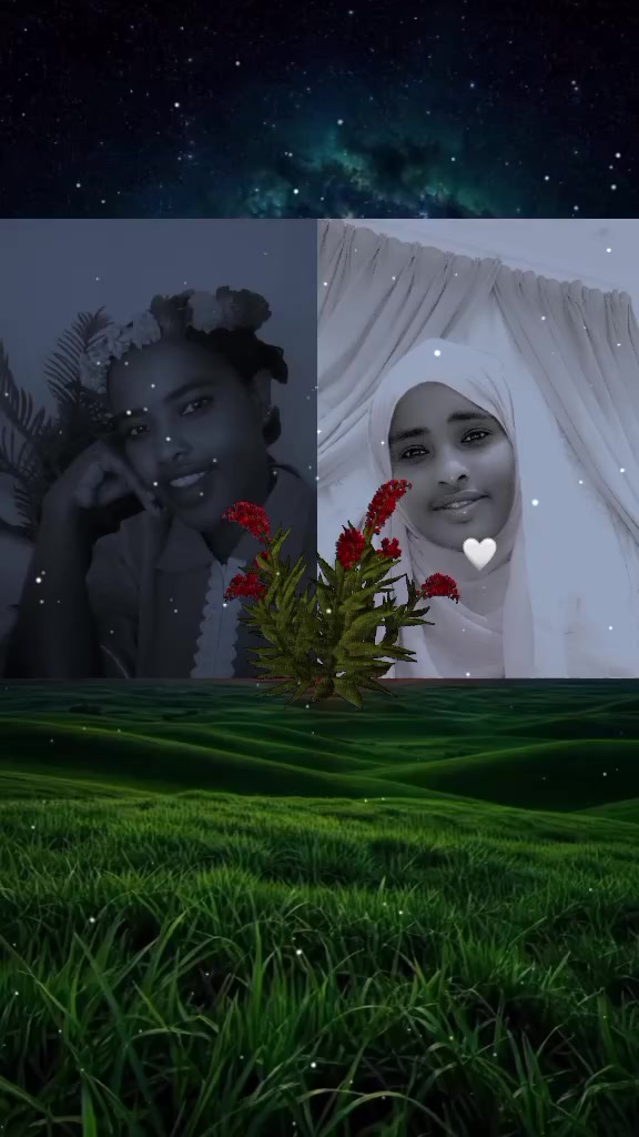 @rumiyaa2030@gmail.com
