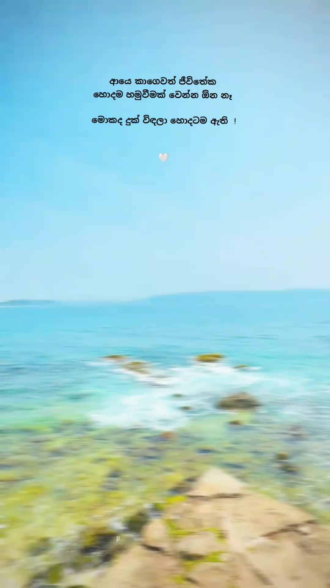 @ᴩᴀᴡᴀɴɪ .....💗🕊️