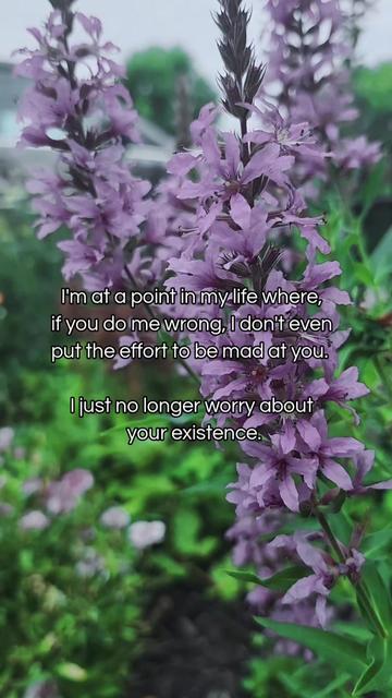 @ᴏꜰ ᴛʜᴇ ɴᴏʀᴛʜ 🌻✨️