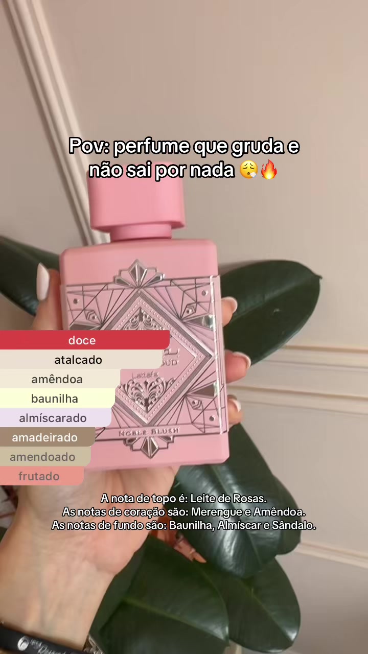 @amanda barbosa