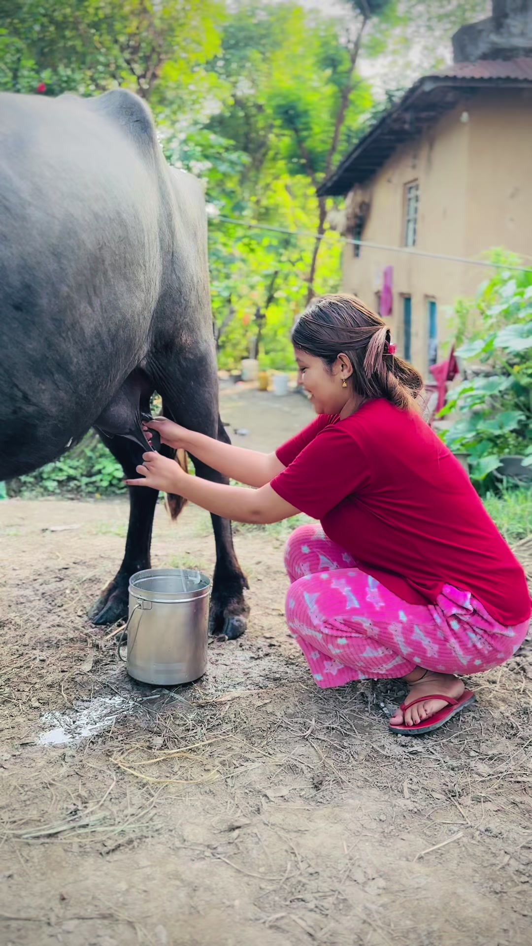 @Kritika Bhandari