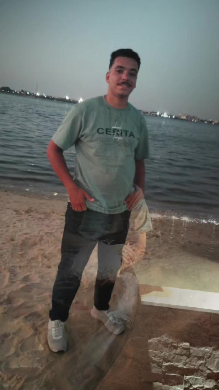 @Hamdi Elsayed