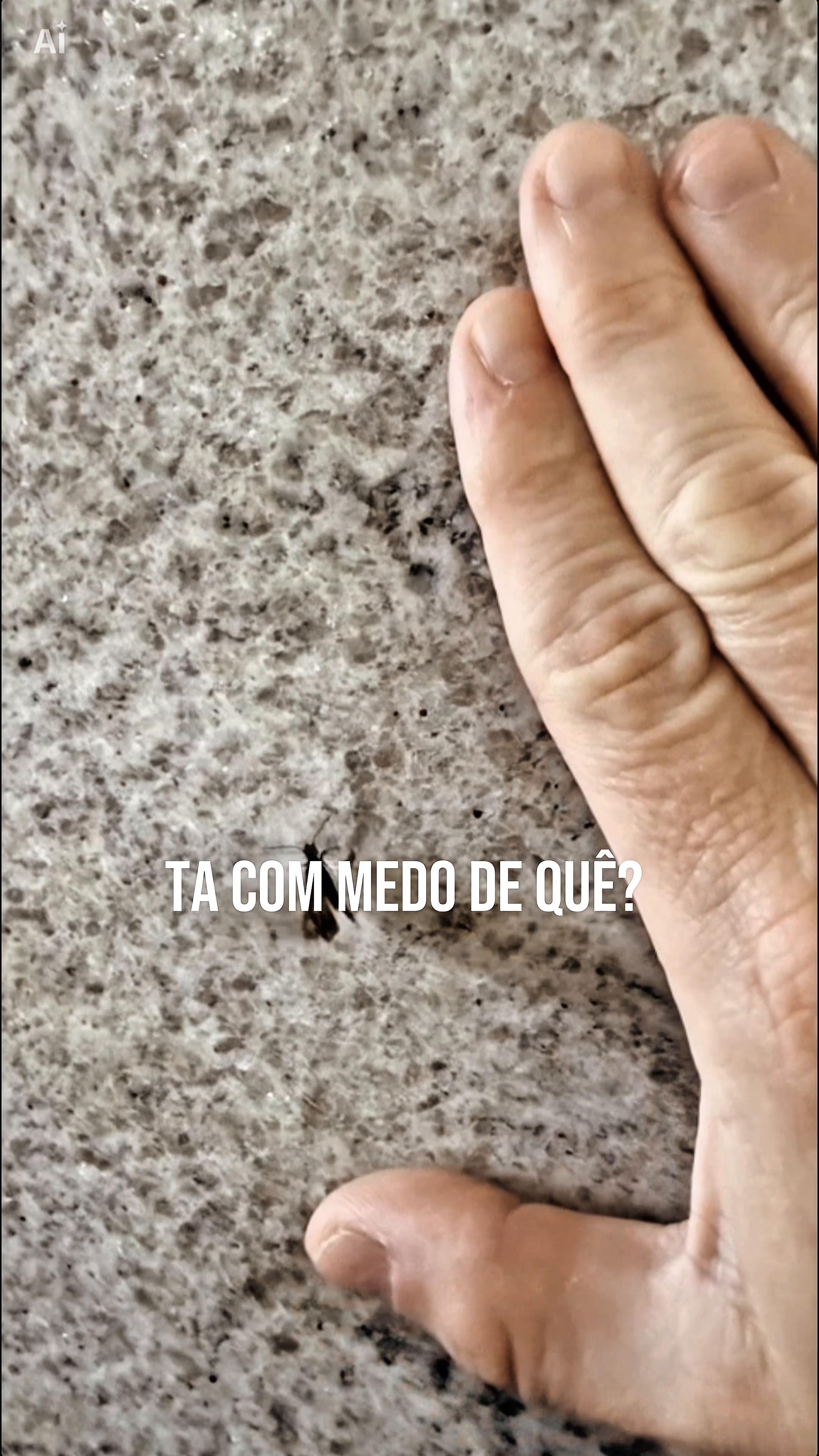 @Rodrigo Campo