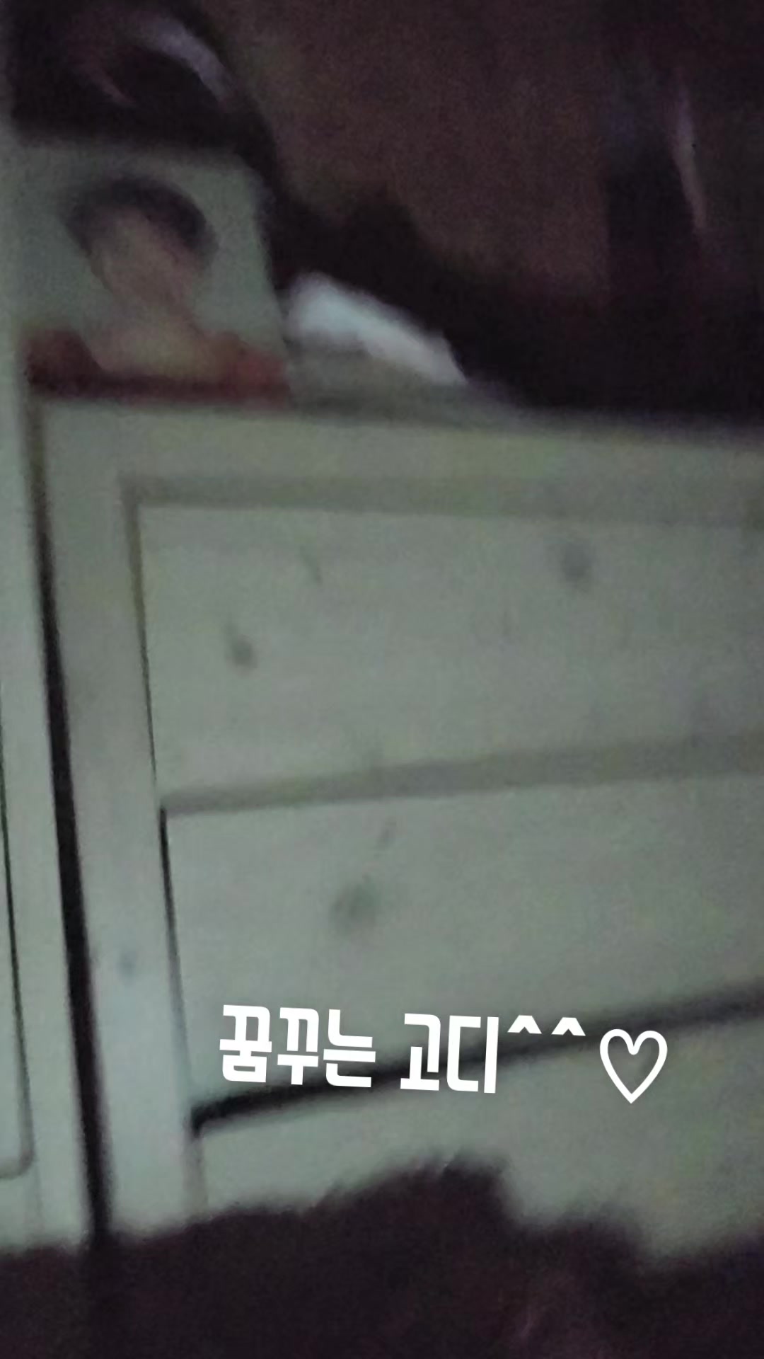 @고디 에미 요요♡