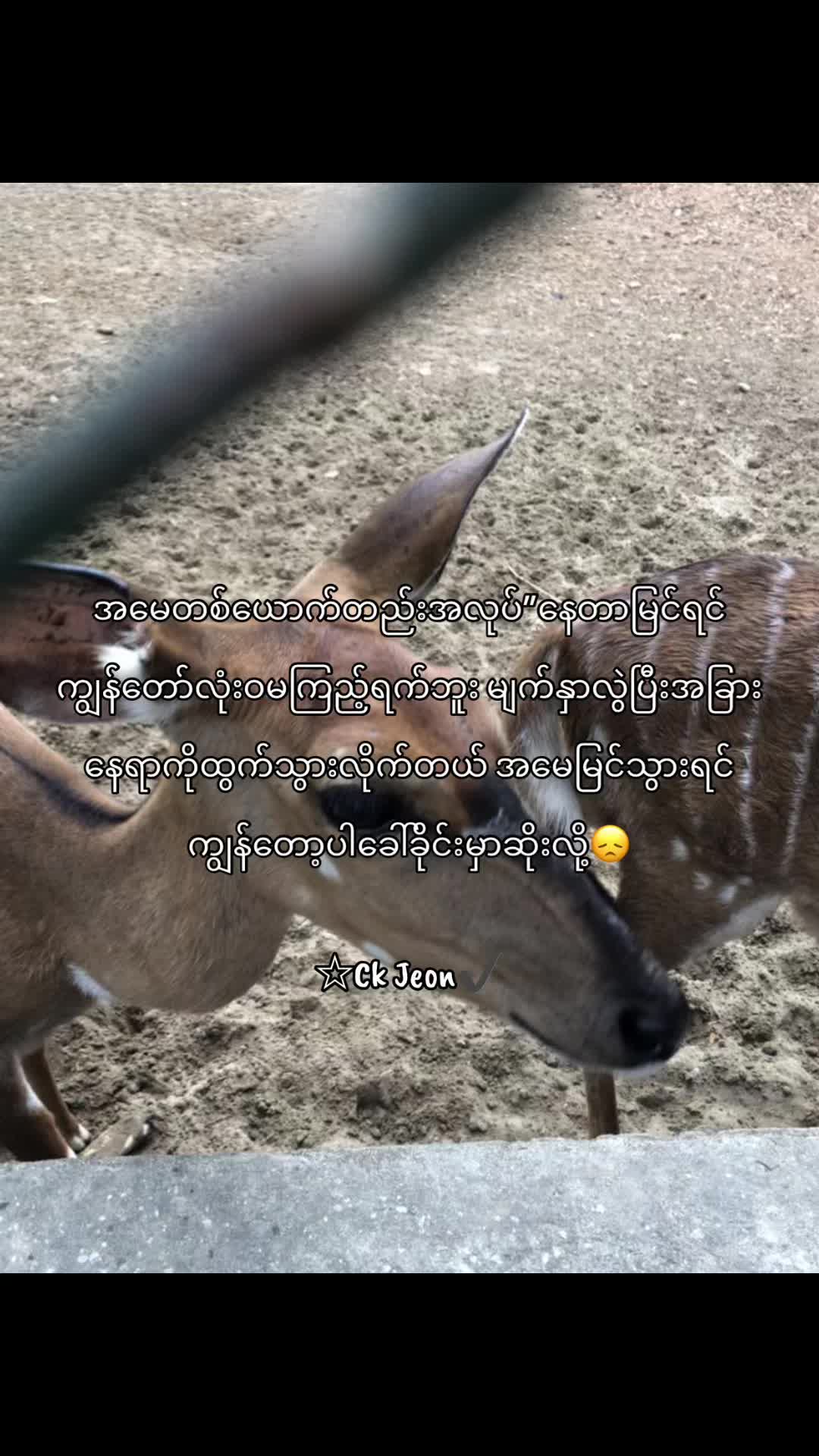 @☆₵₭ JɆØ₦✔️