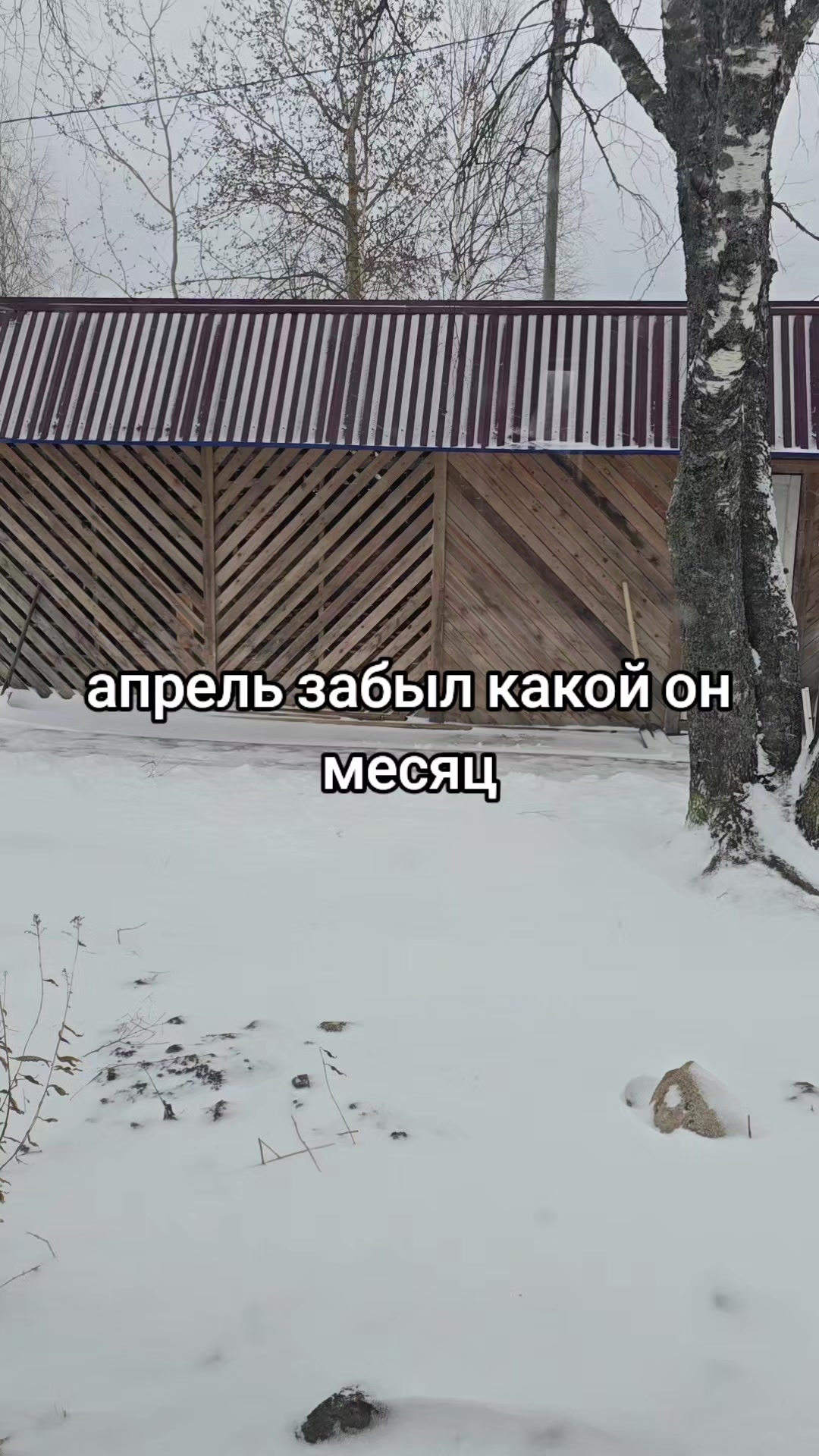 @Maywee