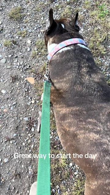 @GrumpyBear 🇨🇦
