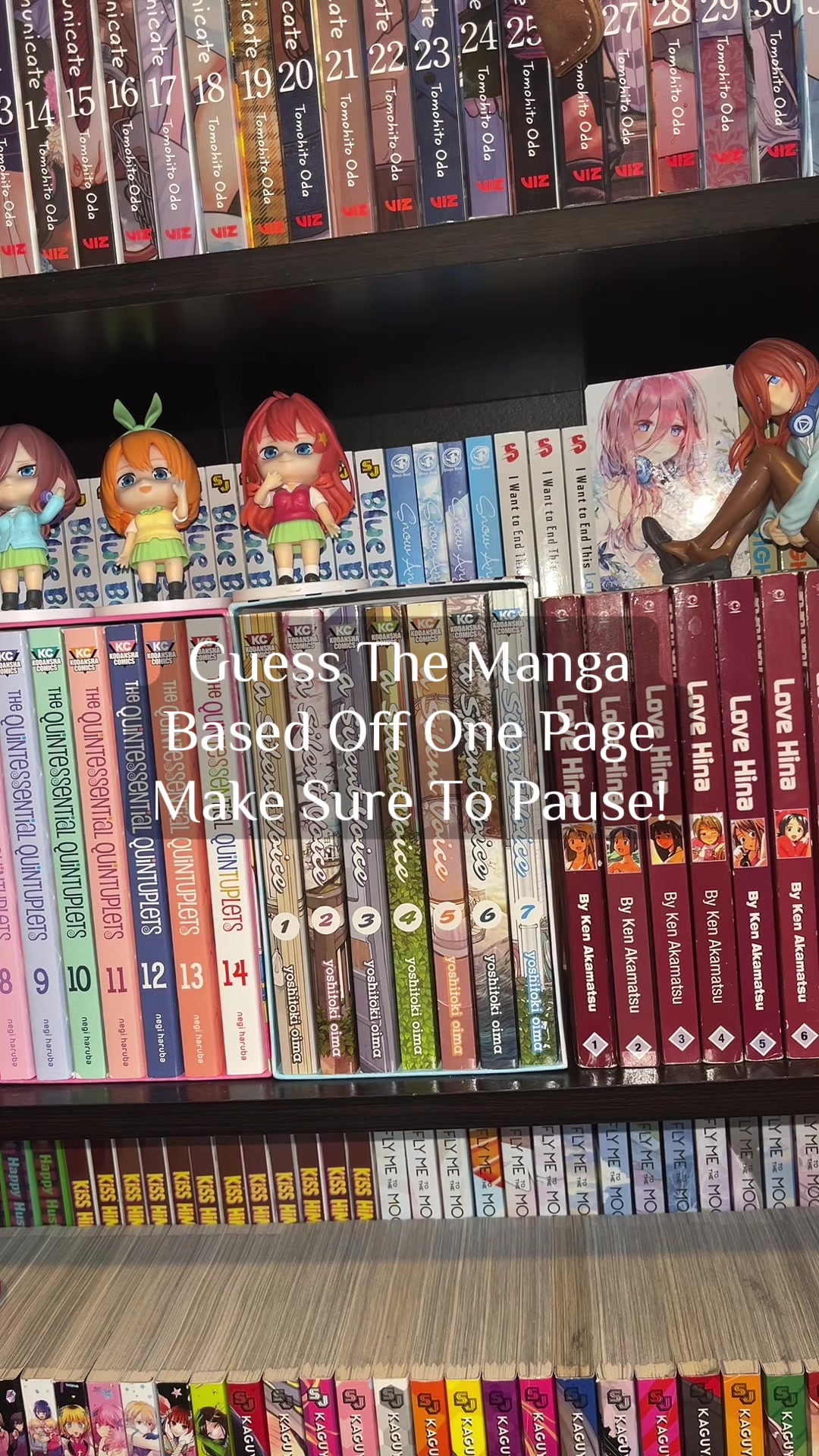 @Anime~C&oslash;&oslash;kies