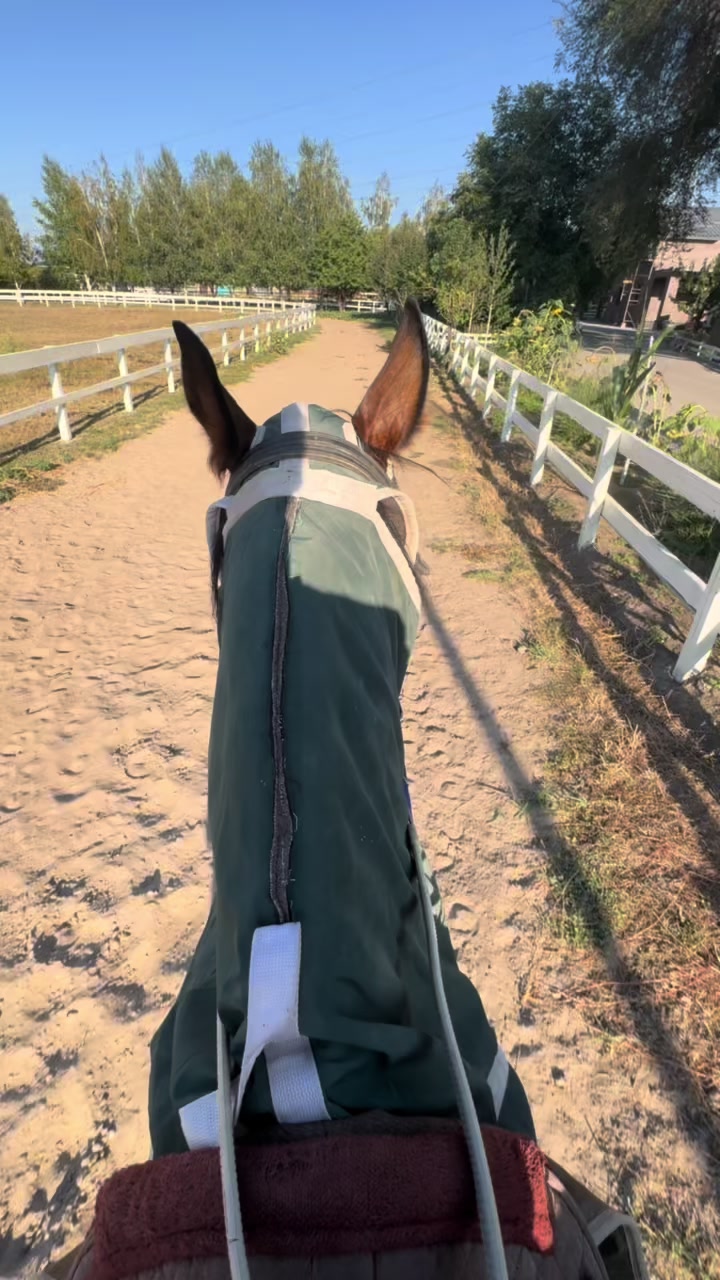 @🐎Ева🐎