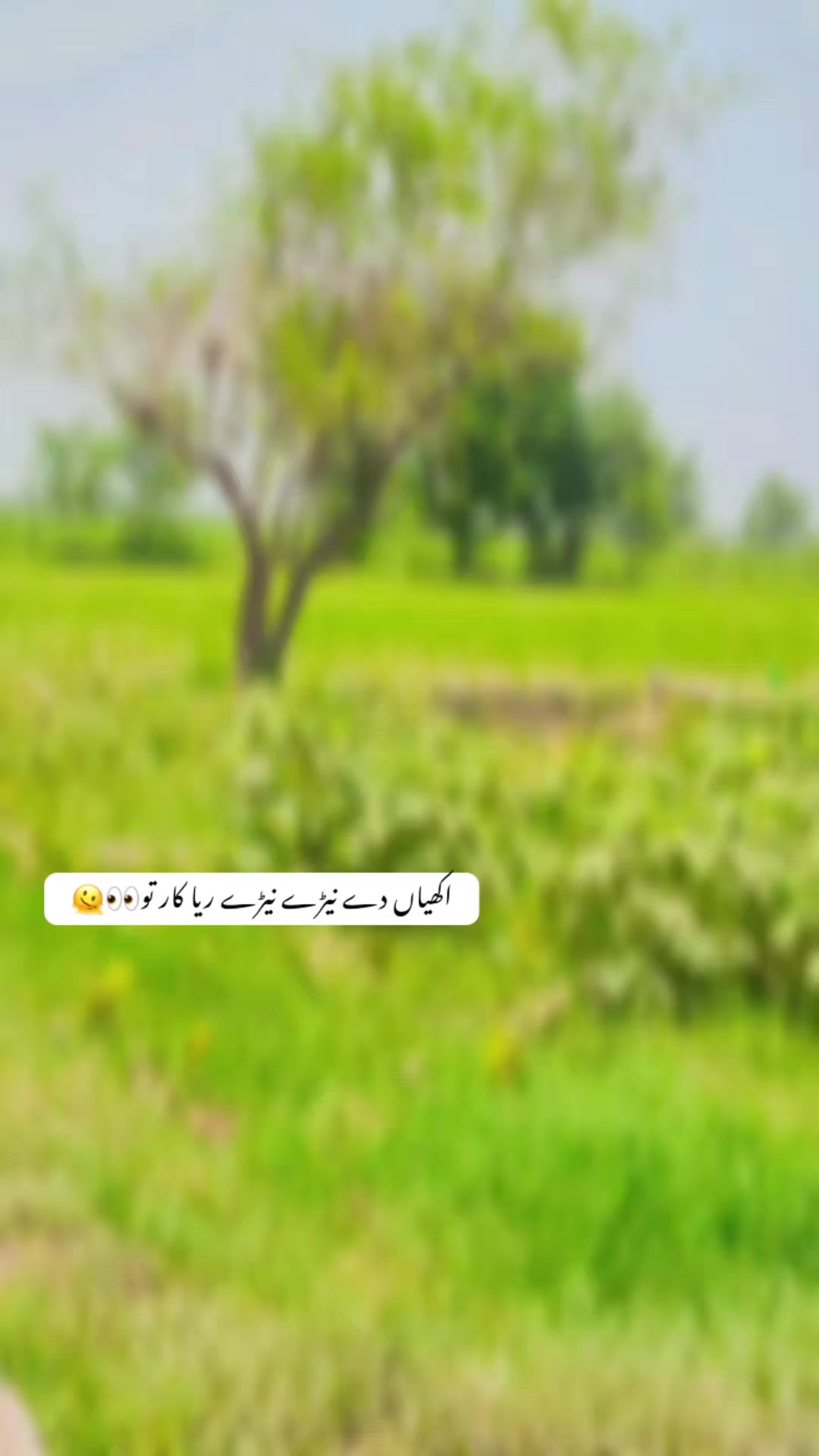 @Nabeel sial