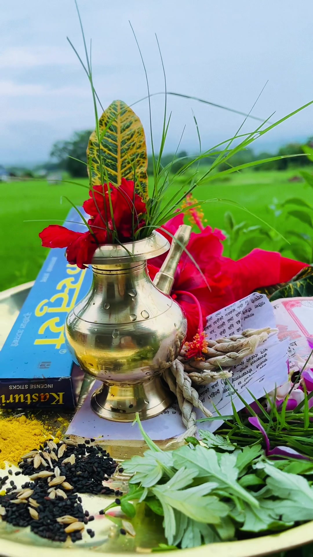 @निशा आले मगर11