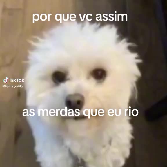 @kakah 🦭