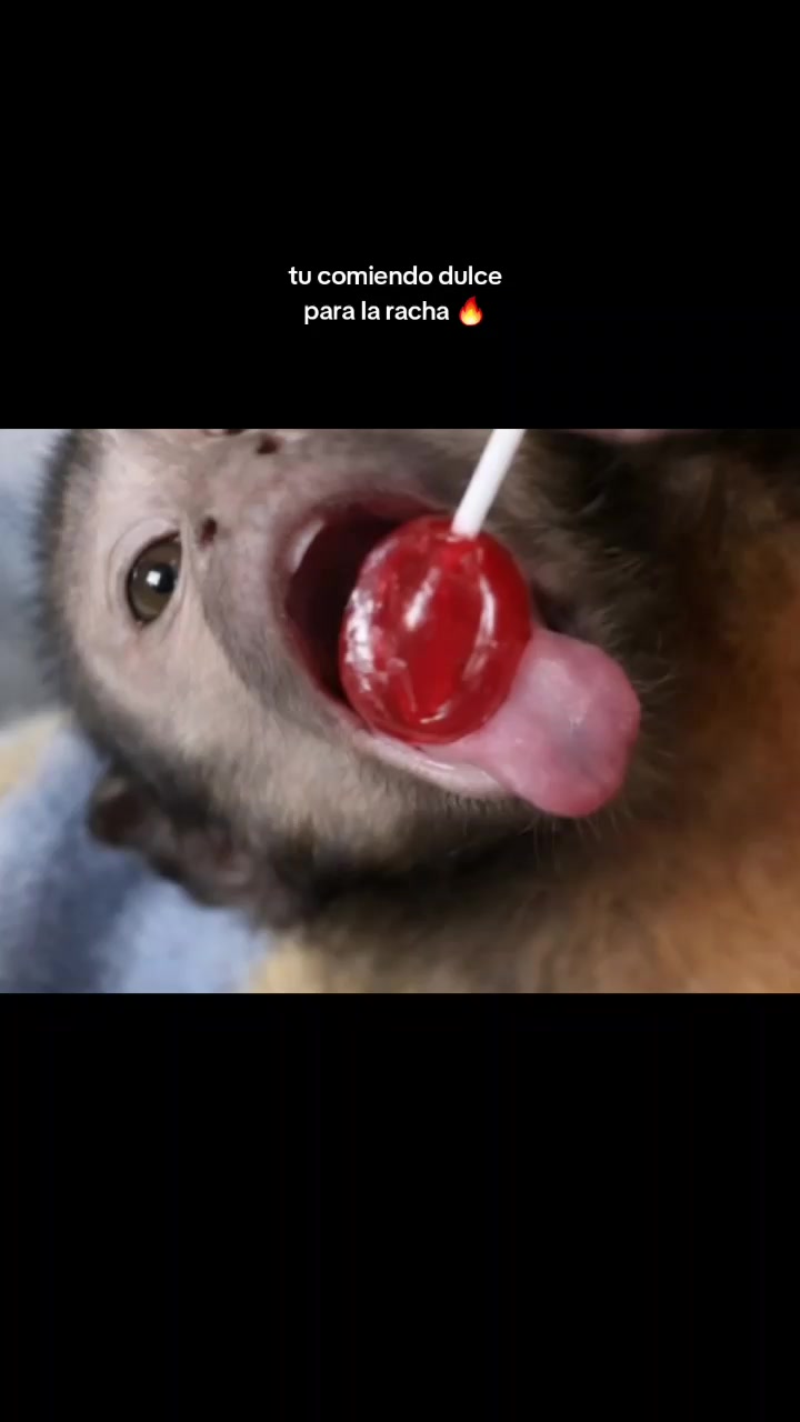 @RabPesito 🔥