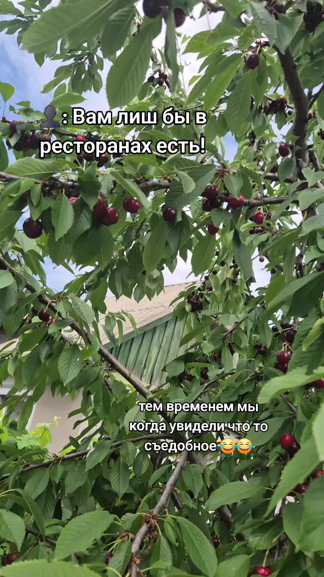 @😈 Валерія 😈