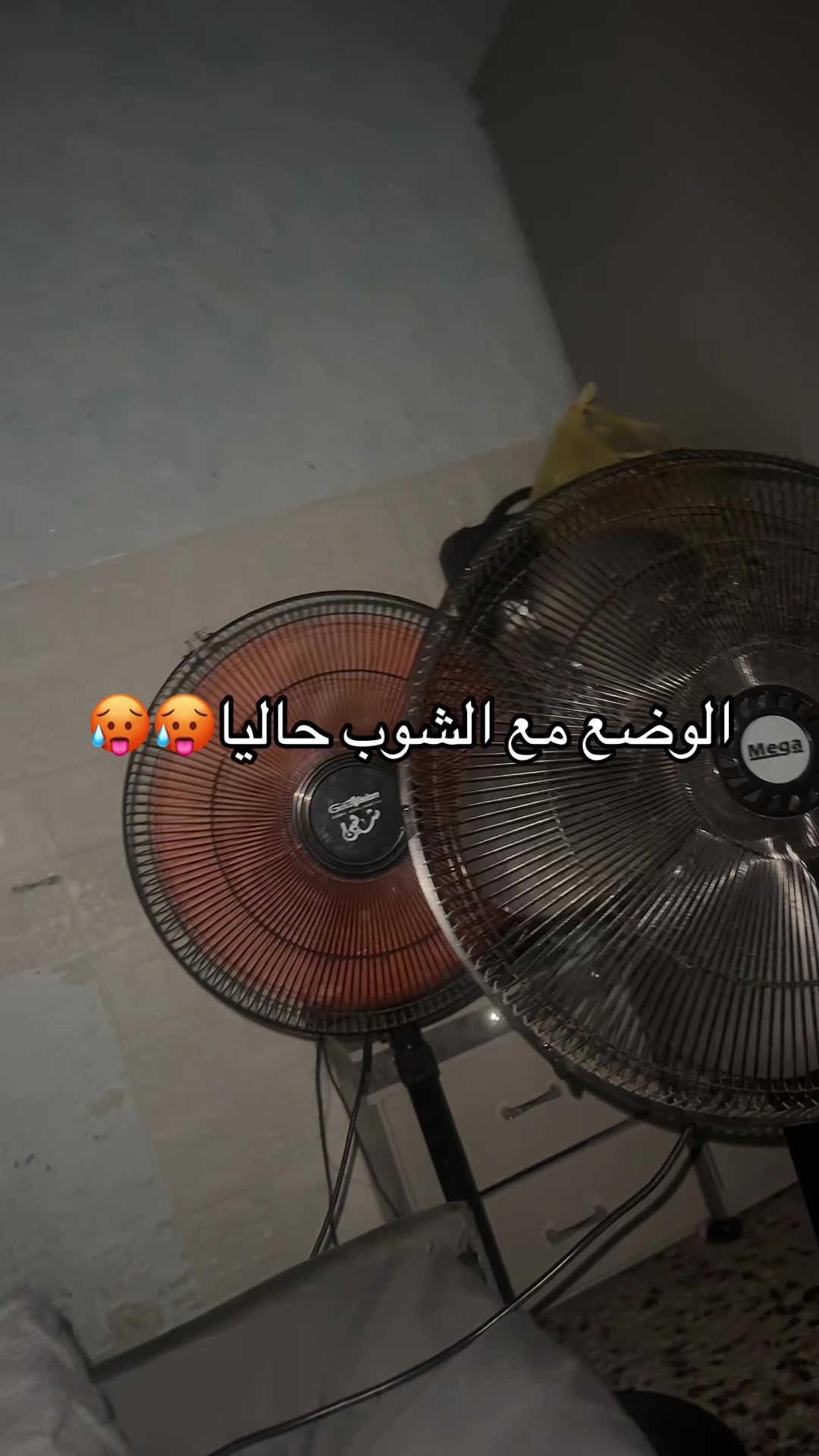 @אסמר🇲🇦❤️