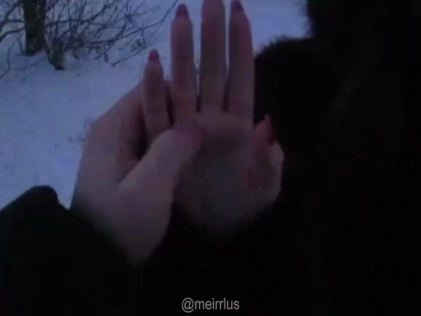 @meirlus