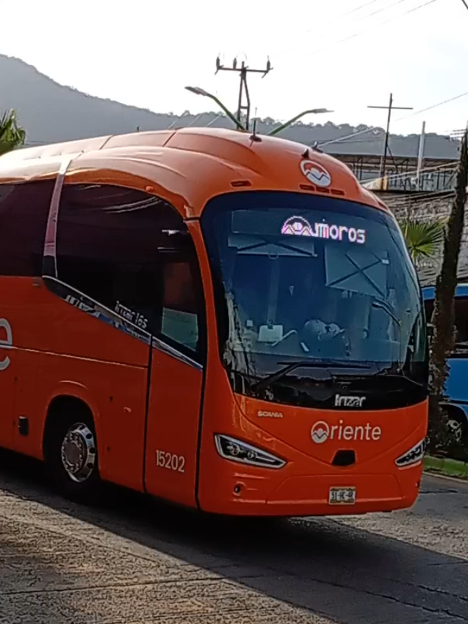@hernánde'z