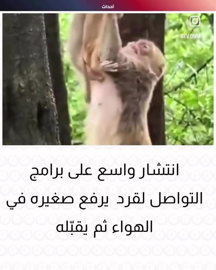@غدران البلوشي