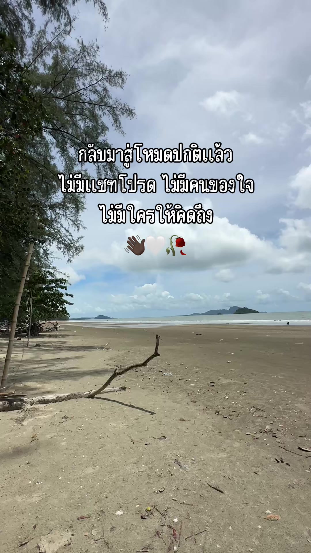 @Nid.2519💚