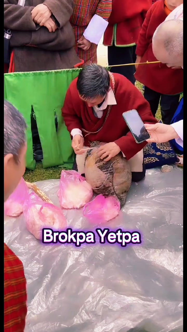 @C_Dema🇧🇹