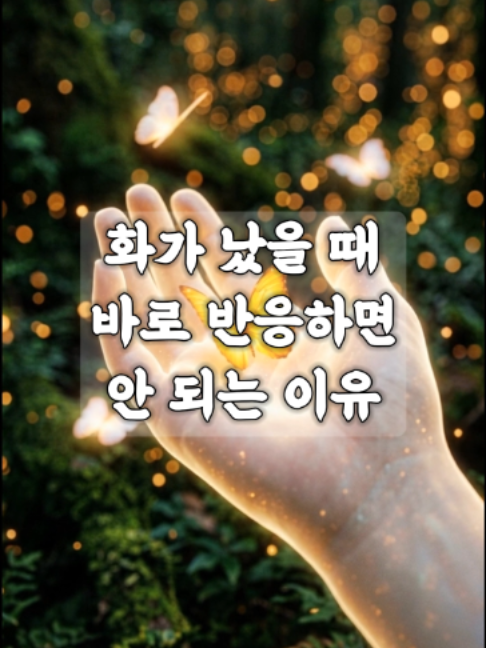 @빛의 씨앗