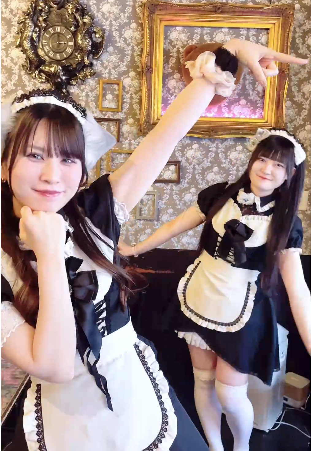 @メイドカフェ アキバ絶対領域