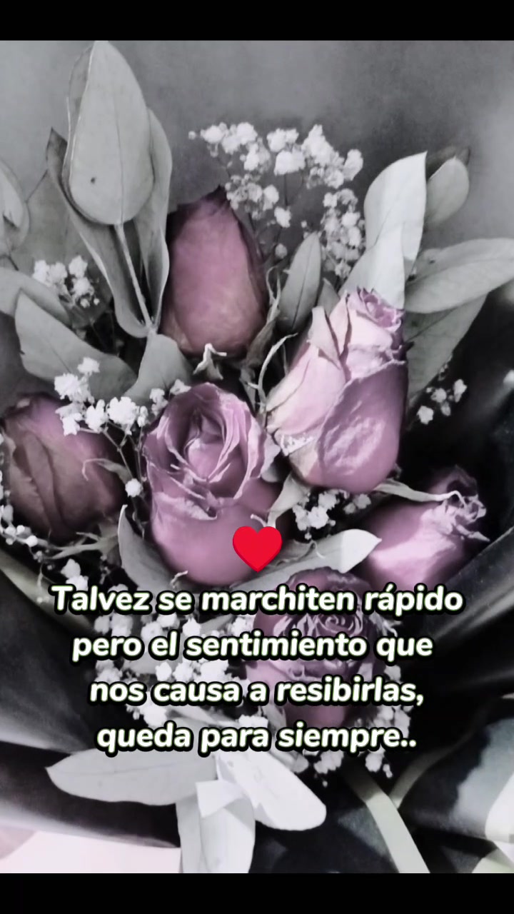 @❤️✨ aby ✨❤️