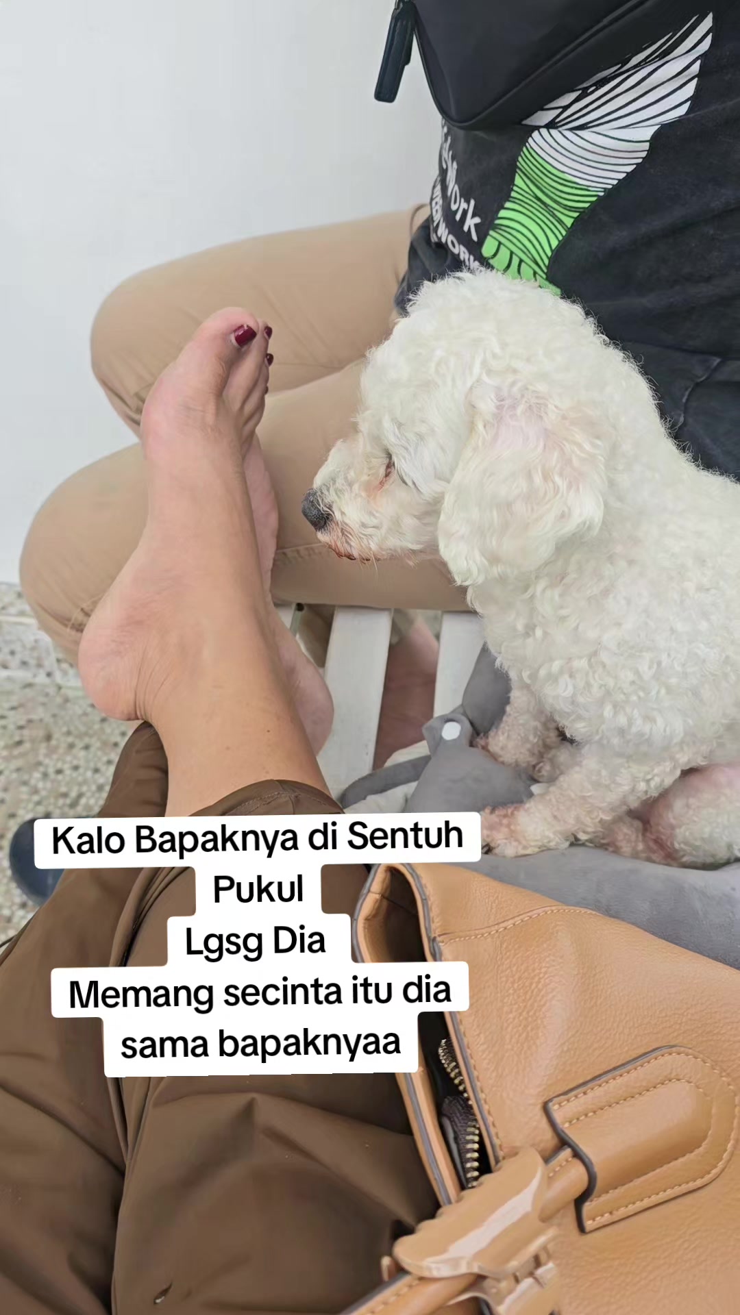 @susanniayin/CcYL