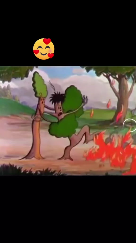 @ayllu
