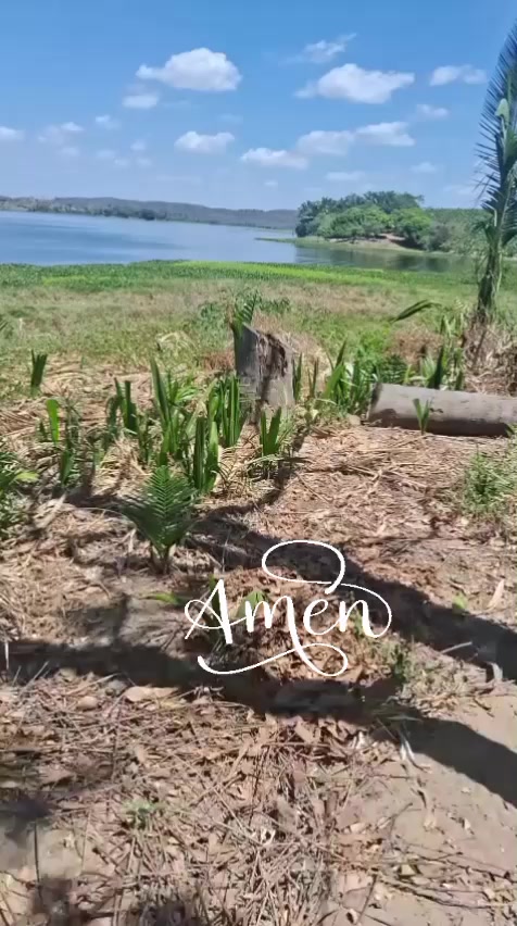 @rosileneoliveira546