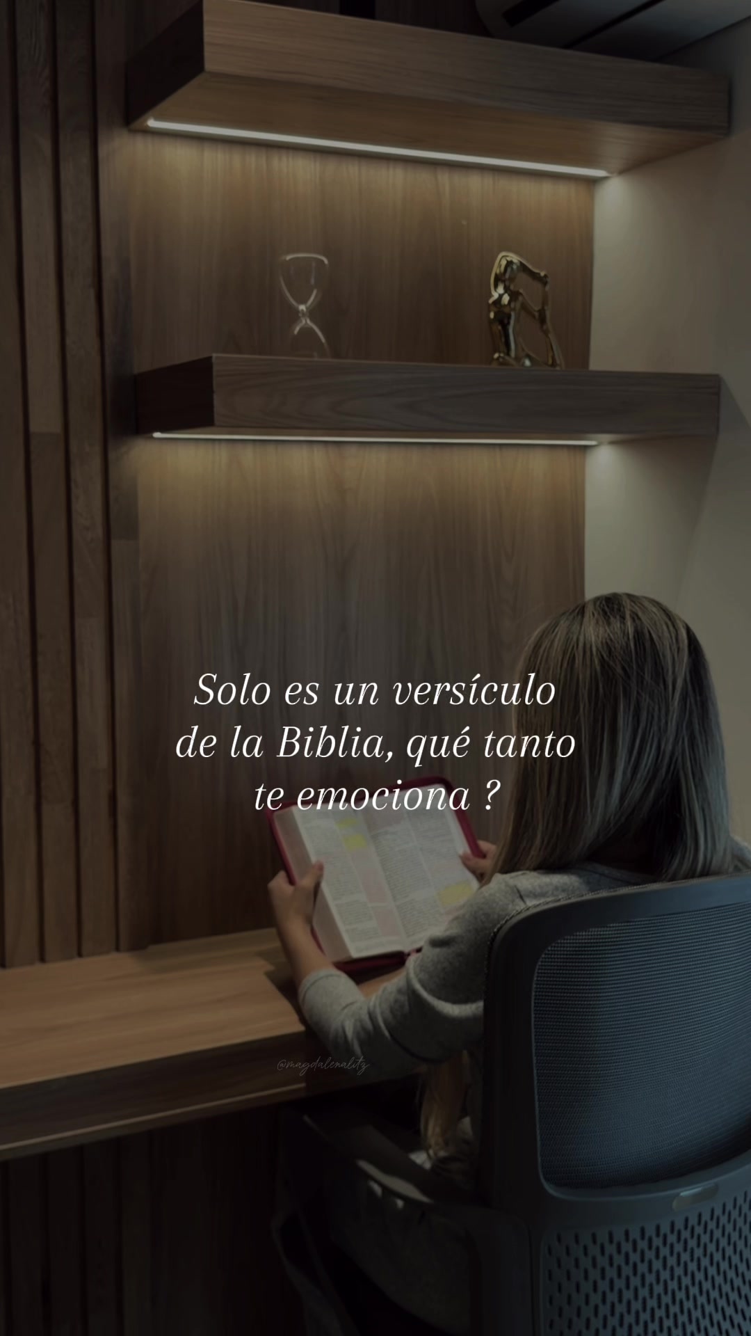 @Stefy Araque | Mentora