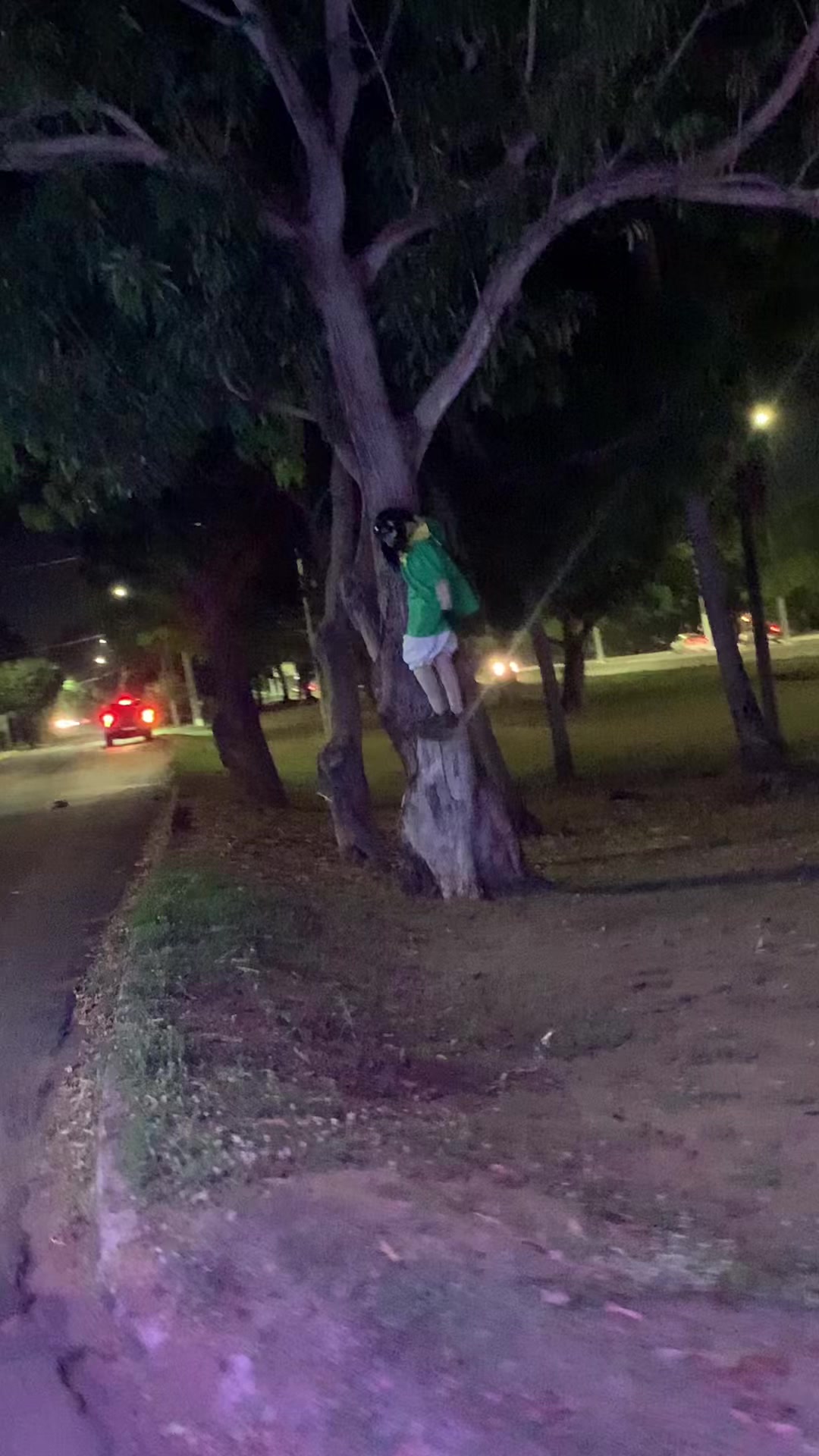 @Trenzinho da alegria 🚂