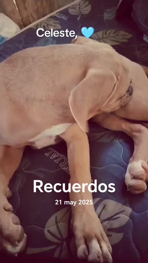 @Ⓜ️ena_caleñit😍 🇨🇴🧿🥰