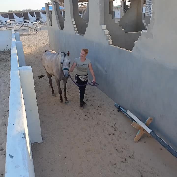 @monalisa_stable