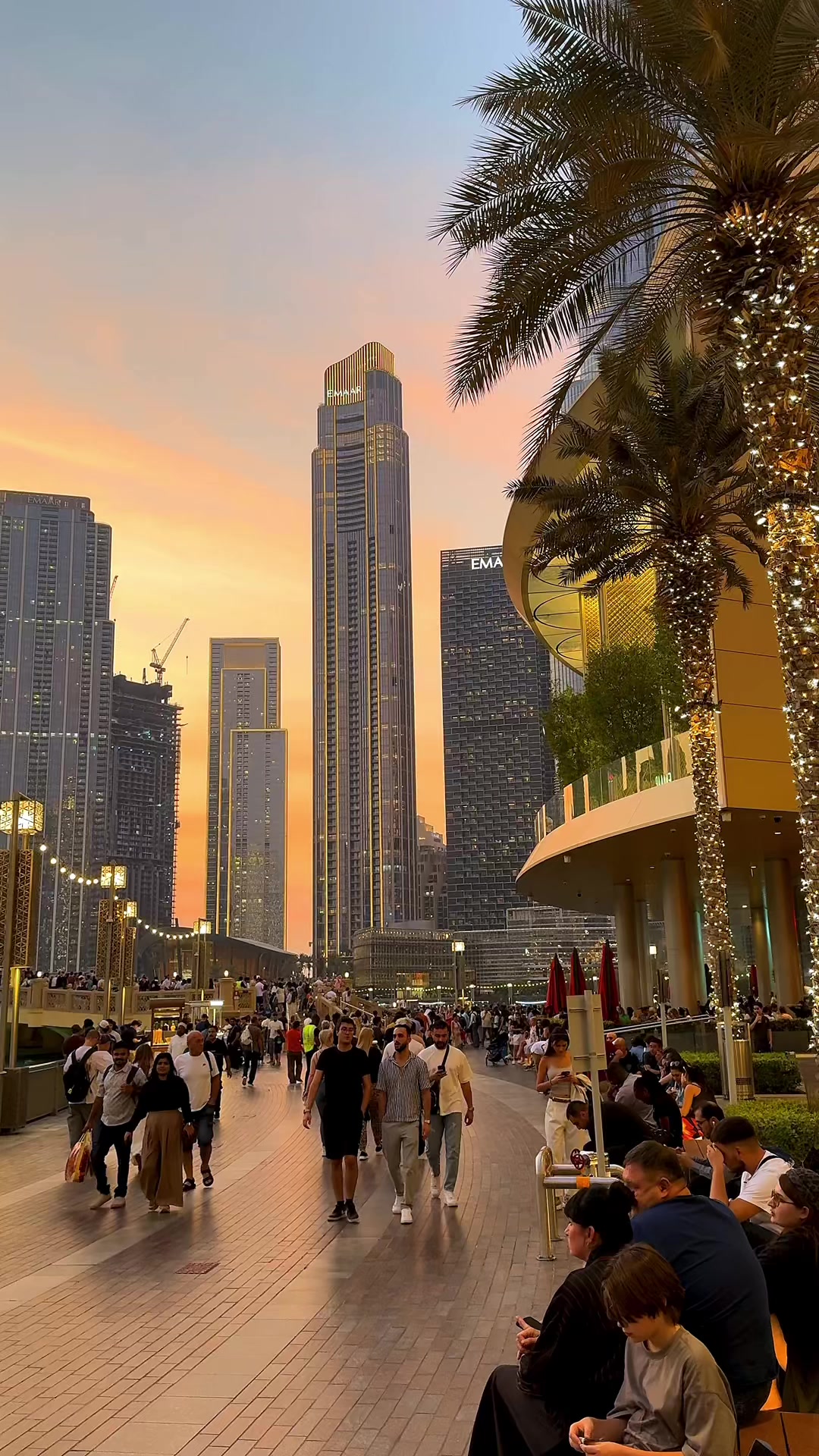 @UAE_Falcon