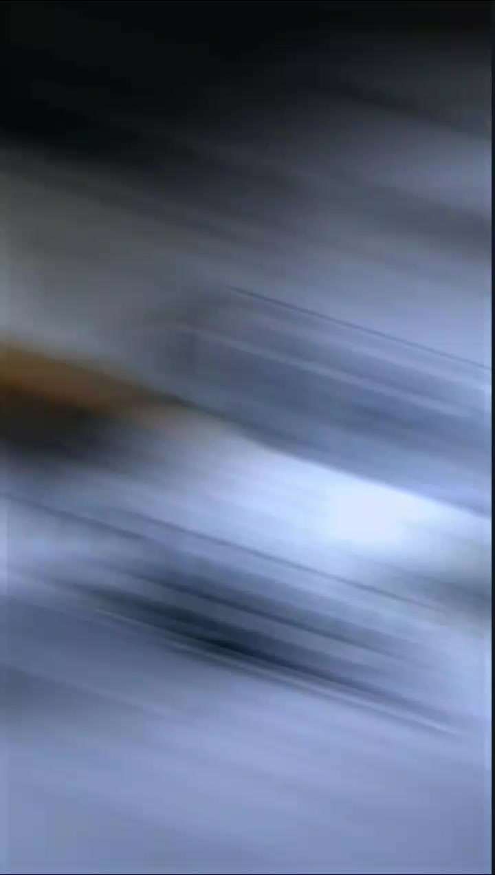 @🄱 🄾 🄲 🄸 🄻_𝐗𝐌𝐋 🎟️