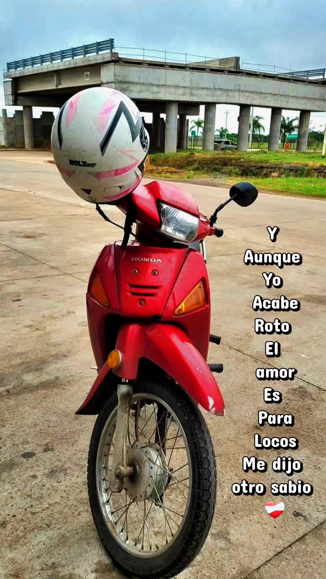 @Mariana Miño𓆩𓆪