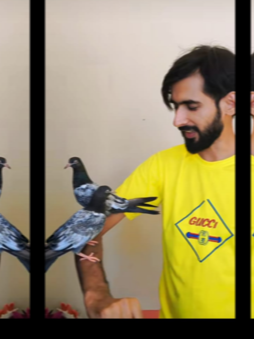 @ZahidZHB