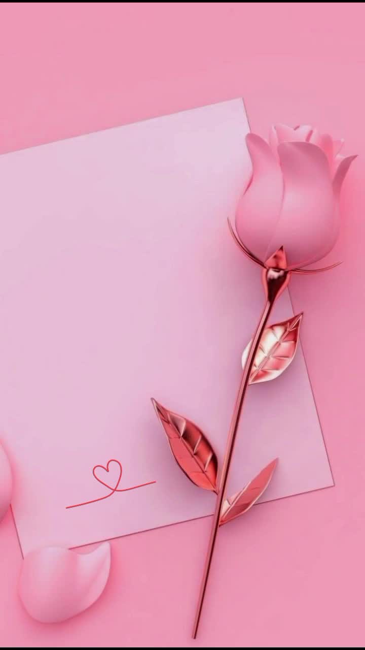 @annalisaniro4