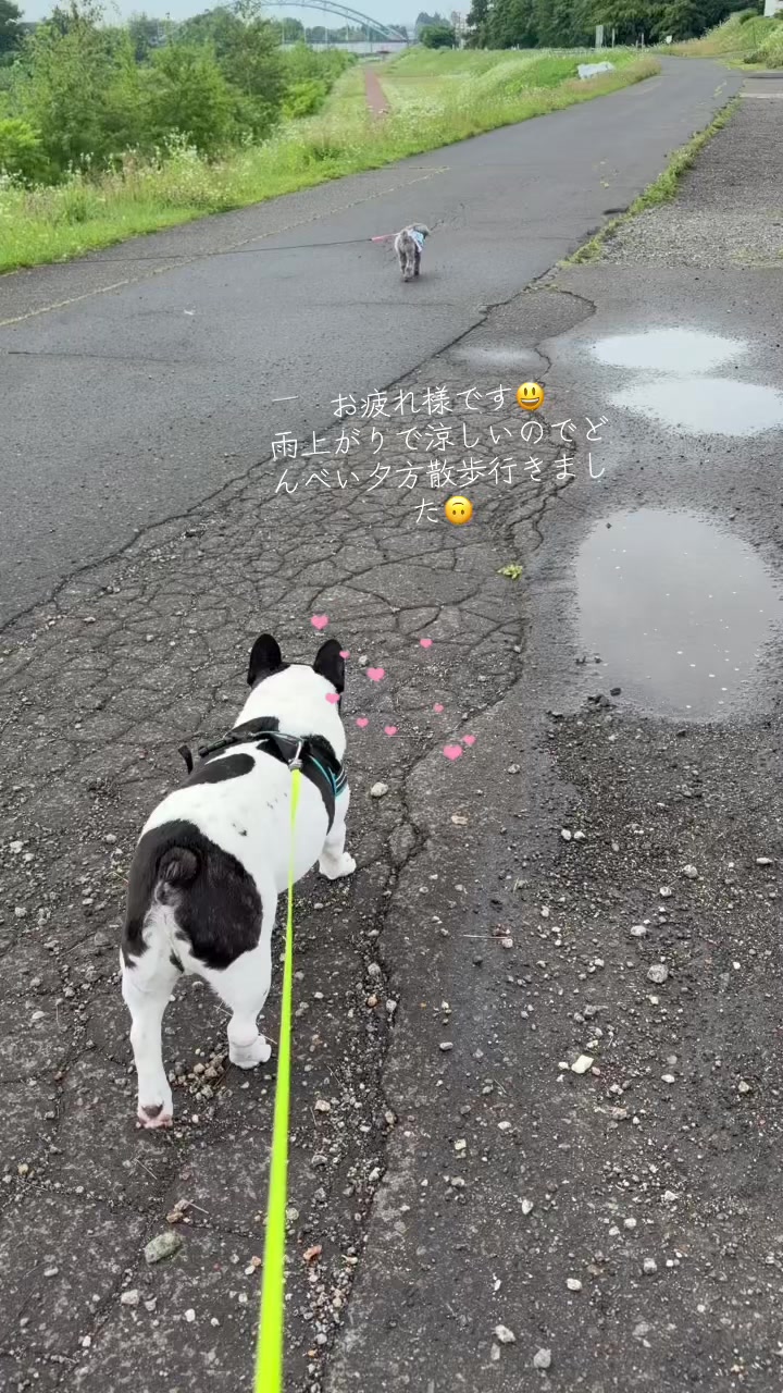 @taka1964