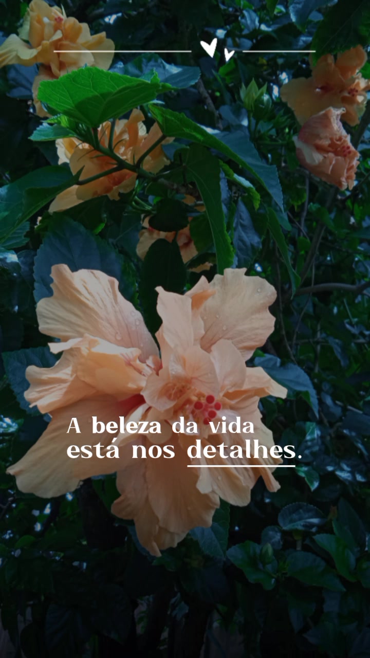 @Jackeline Moura687