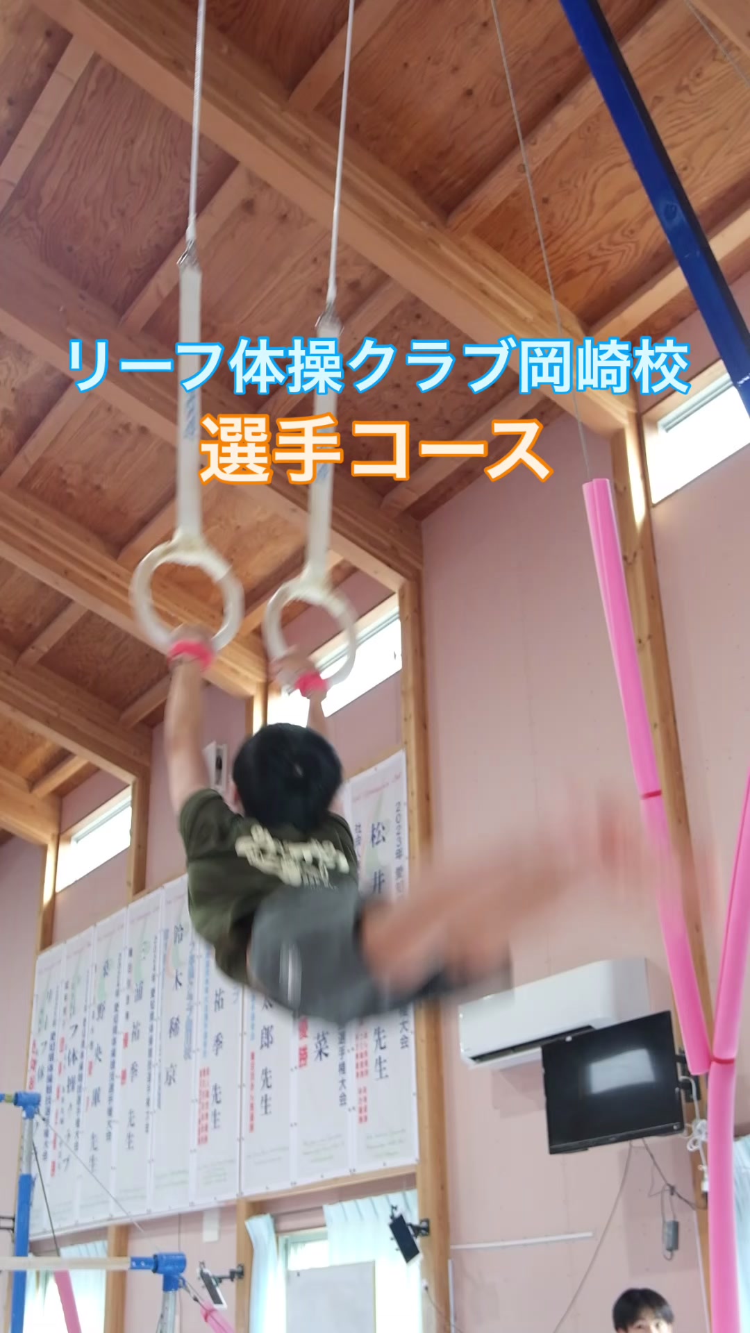 @leaf_okazaki