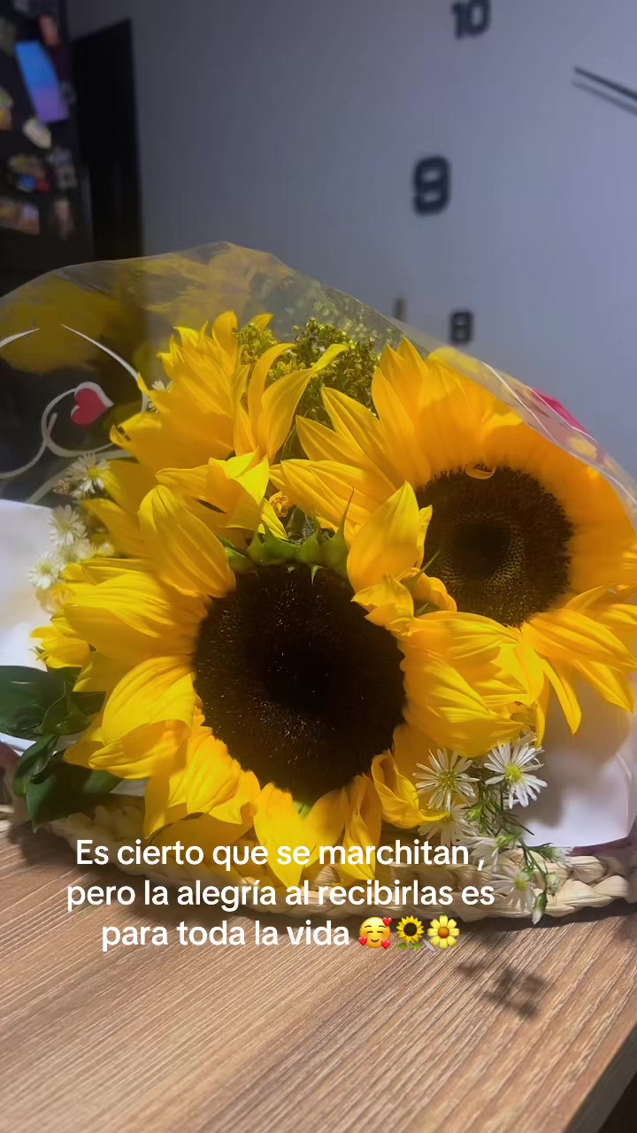 @A.O. N