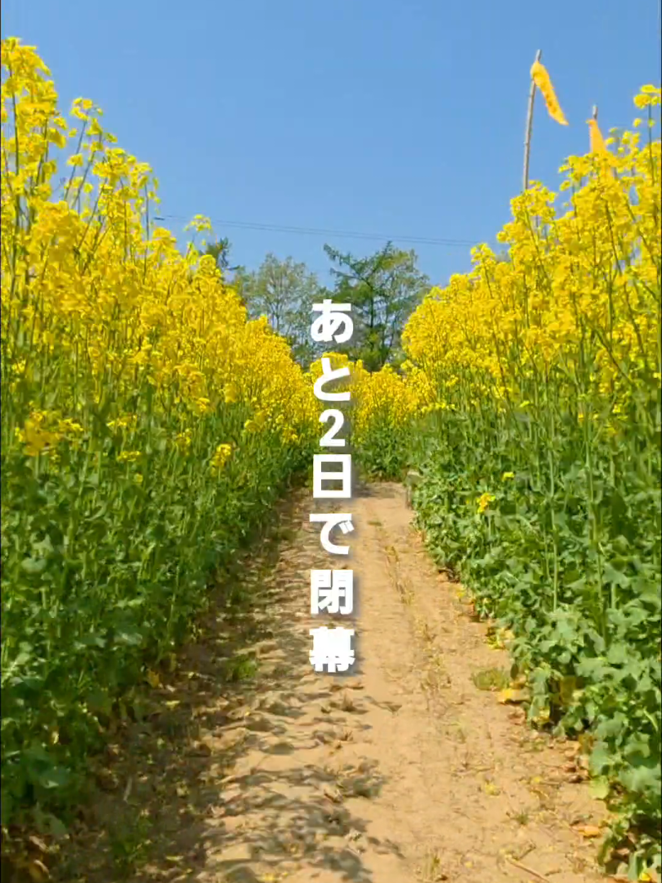 @滝川にマジな地域おこし協力隊【非公式】